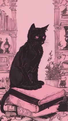 a black cat sitting on top of a stack of books next to a pink wall