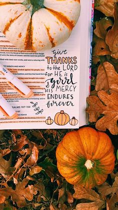 an open book on the ground with pumpkins and leaves around it, including two pens