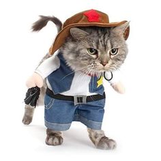 a cat dressed up like a sheriff