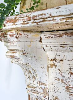 an old white painted wooden shelf with a plant growing out of it