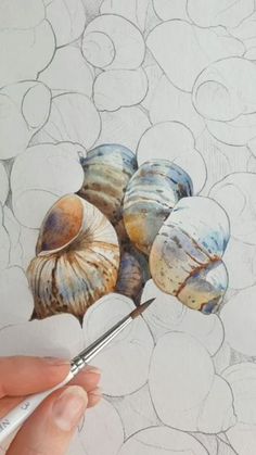 someone is drawing shells on the paper