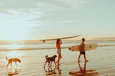 two people and a dog are walking on the beach with their surfboards over their heads