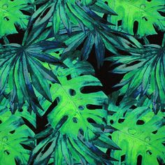 A flat sample of Mixed Palm Leaves Black Ground Printed Spandex Fabric Black Ground, Border Print, Long Exposure, Palm Leaves, Blue Moon, Color Card, Cotton Lights, Printing Methods, Spandex Fabric