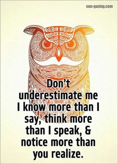 an owl saying don't underestimate me i know more than i say,