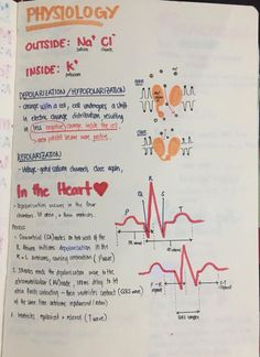 Nurse Study Notes Heart, Intro To Anatomy And Physiology Notes, Mbbs 1st Year Anatomy Notes, Pathophysiology Nursing Notes Template, Human Health And Disease Notes Class 12, Medic School, Paramedic Study, Med Doctor