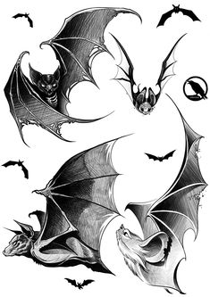 two bats flying in the air with their wings spread out and eyes open, while another bat