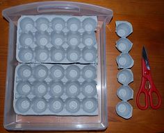 an assortment of eggs in plastic containers with scissors and pliers next to them on a wooden table