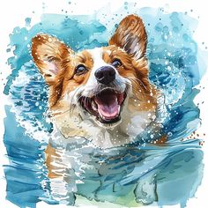 a dog is swimming in the water with his mouth open