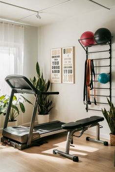 an exercise room with treadmills and plants