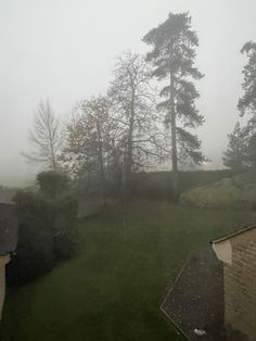 a foggy day with trees and houses in the foreground on a grassy area