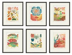 four framed art pieces with different types of sea life on them, each depicting an ocean theme