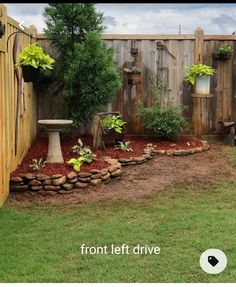 a backyard with a wooden fence and green plants in the center, surrounded by brown mulch