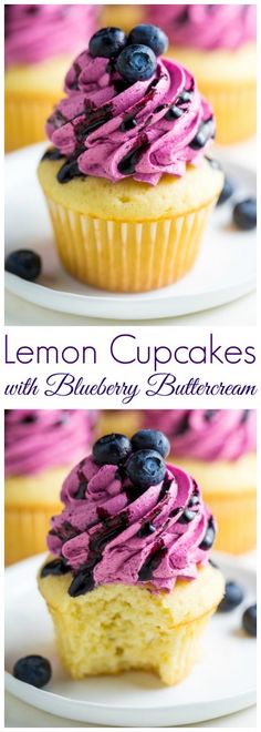 lemon cupcakes with blueberry buttercream frosting on top and bottom