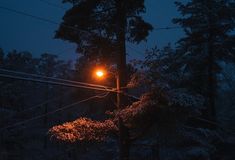 a street light in the middle of a snowy night with power lines and trees behind it