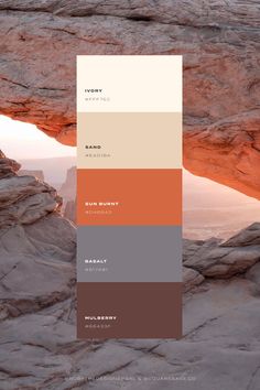 Bright, warm and earthy colour palette inspired by nature Natural Colours Palette, Natural Color Pallets, Earthy Colour Palette, Fruit Store, Branding Moodboard, Excel Sheet, Pantone Colour Palettes, Hex Color Palette, Natural Palette