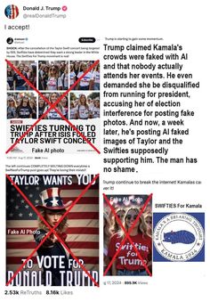 Taylor Swift Concert, Social Media, Media