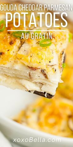 a piece of cheesy potato casserole is being held by a fork