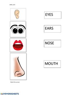 an eye chart with the words eyes, ears, nose and mouth