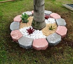 a small circular garden in the middle of some grass and rocks with plants growing out of it