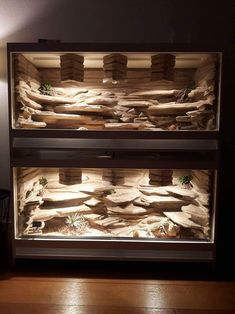 an aquarium is shown with rocks and plants in the bottom half, on top of wooden planks