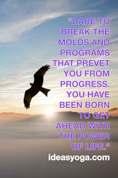 a bird flying through the air with a quote above it that reads dare to break the molds and programs that prevent you from progress