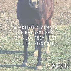 a brown horse standing on top of a grass covered field with a quote above it