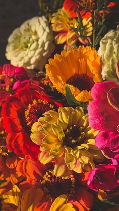 a bunch of flowers that are sitting on a table in front of each other,