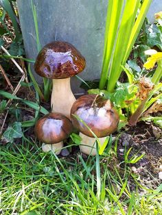 three mushrooms sitting in the grass next to a potted plant