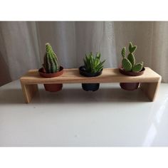 three succulents are sitting on a wooden shelf