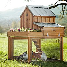 an advertisement for a chicken coop with chickens in the grass and on top of it