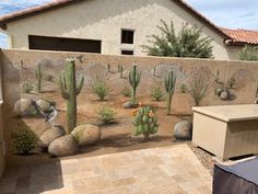 an outdoor patio with cactus and rocks painted on the wall