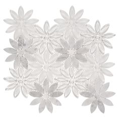 an image of white flowers on a white background