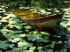 there is a boat that is floating in the water with lily pads on the ground