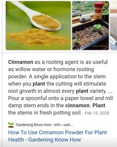 an article on how to use cinnamon powder for plant growth and seeding in the garden