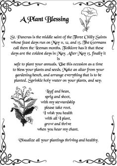 Witchy Garden, Witch Herbs, Witch Garden, Plants Growing, Witch Spell Book, Hedge Witch, Wicca Witchcraft