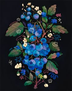 a painting of blueberries with leaves and flowers on a black background is featured in this image