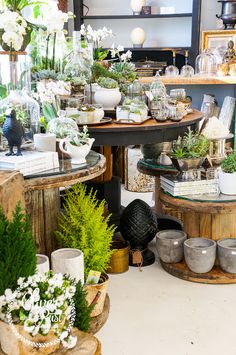 a room filled with lots of potted plants and vases on top of tables