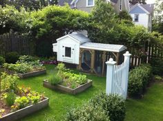 a backyard garden with various plants and flowers in the yard, including an old shed