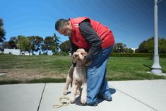 a man is holding a dog on a leash