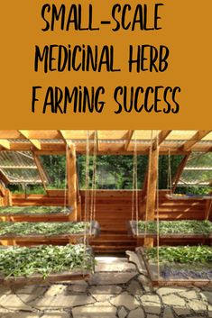 small scale medical herb farming success