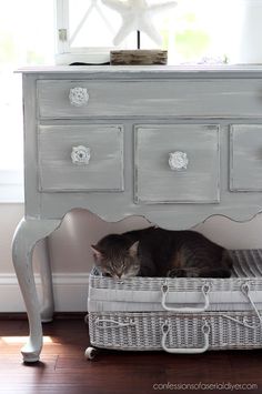 a cat laying on top of a basket under a dresser