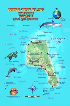 an illustrated map of the little coral island national park and preserve, with dolphins swimming around it