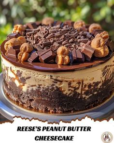 there is a cake with chocolate and nuts on it