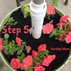 a flower pot with flowers growing out of it and the words, step 5 verified mom