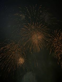 fireworks are lit up in the night sky