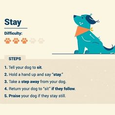 Dogpuppiestips Health Checklist, Dogs Tips