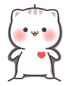 a white cat with a red heart on it's chest