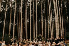 an outdoor ceremony in the woods with lots of people