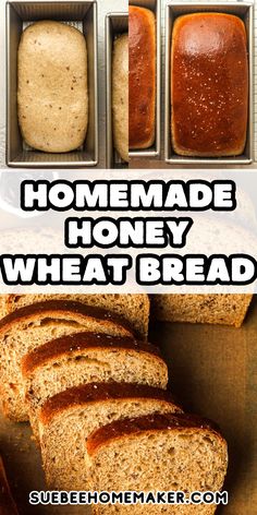 This Honey Wheat Sandwich Bread recipe is so delicious you'll want to ditch storebought bread! This Honey Wheat Sandwich bread is a hearty, healthy bread, that has a slightly sweet flavor from the honey! This is truly the BEST sandwich bread recipe!! Wheat Sandwich Bread Recipe, Homemade Whole Wheat Bread, Honey Wheat Bread, Whole Wheat Sourdough, Wheat Bread Recipe, Homemade Bread Recipes Easy, Sandwich Bread Recipes, Homemade Bread Easy, Honey Wheat