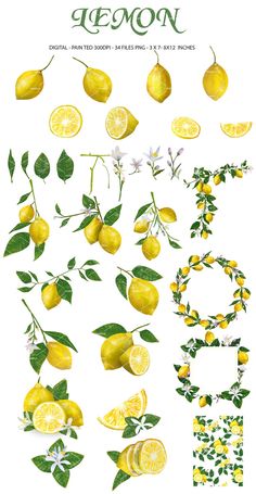 lemons and flowers are arranged in the shape of letters, with leaves and flowers on them